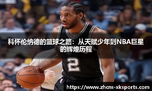 星空体育官网
